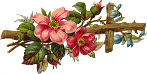 fleurs et nature (177).gif